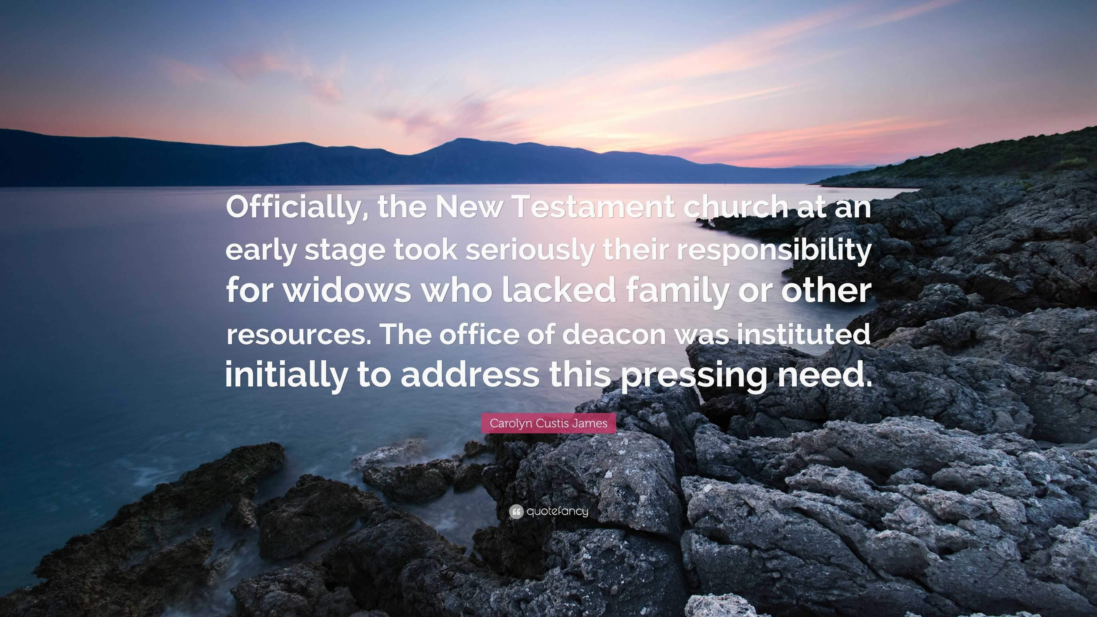 Carolyn Custis James Quote: “Officially, the <b>New Testament</b> church ...