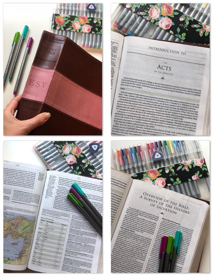 The <b>Best Study Bible</b> - Katie Orr