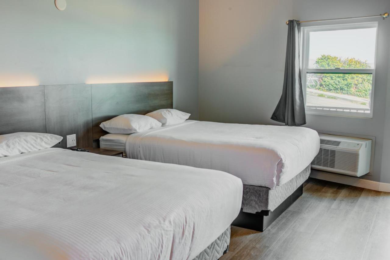 Standard Two Queen Beds,1087655170:JPEG