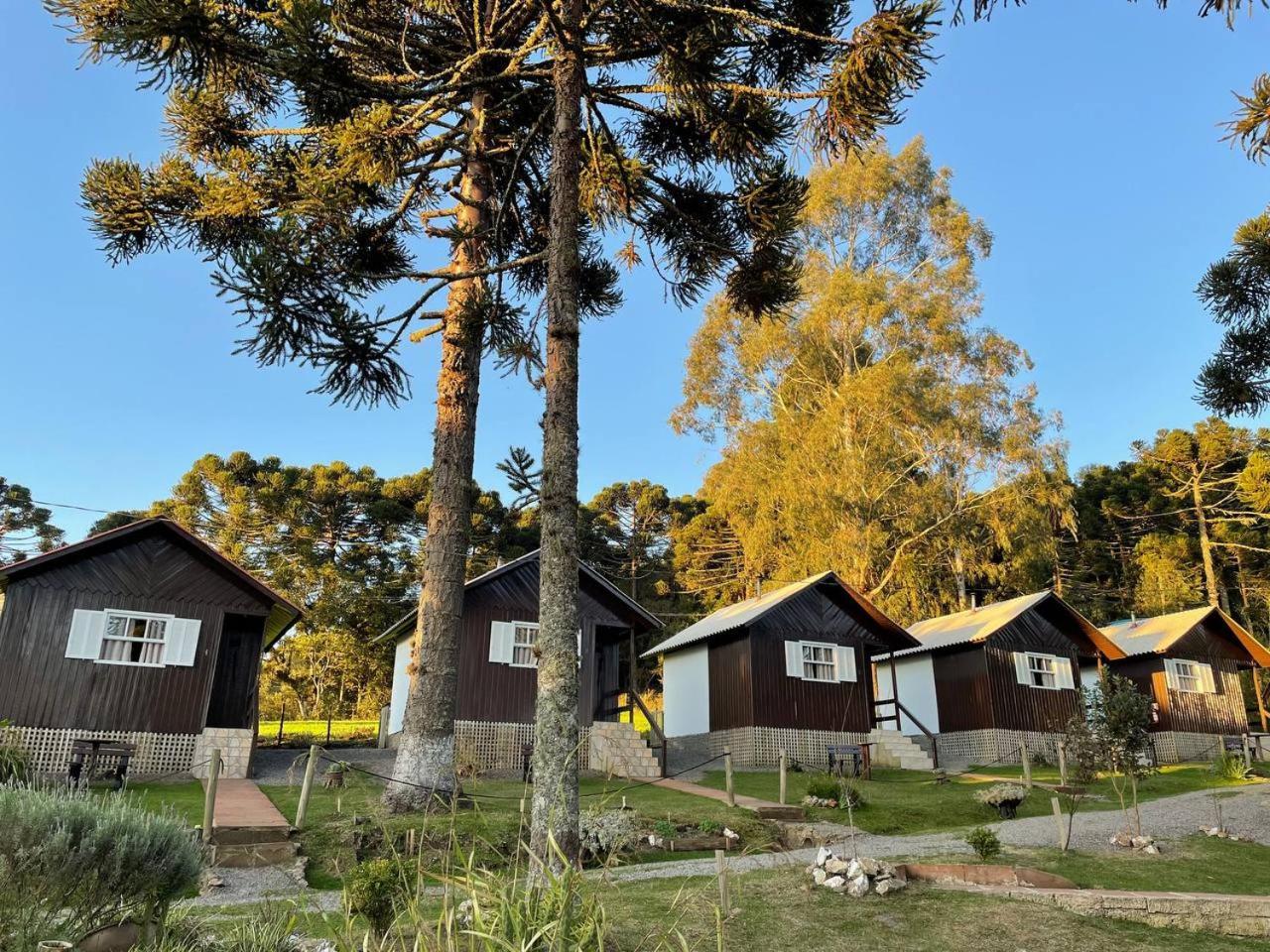 Chalet,1552095814:JPEG