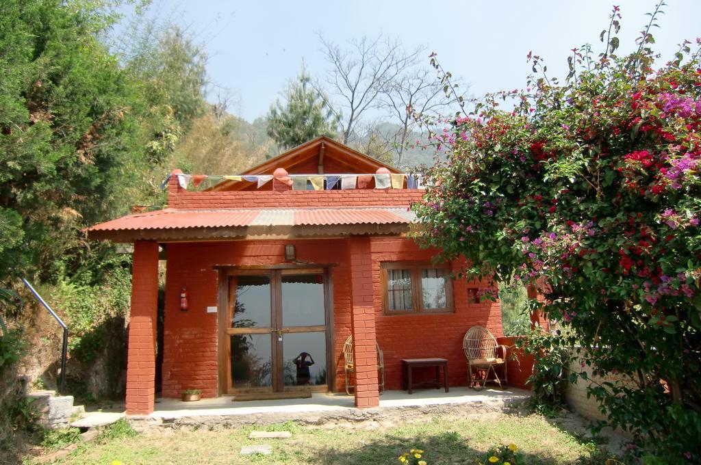 Two-Bedroom Cottage,353332099:JPEG
