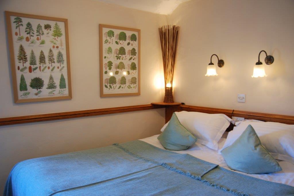 Standard Double Room,646854540:JPEG