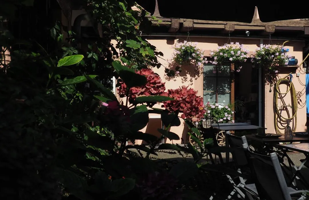 CHEZ CAROLINE dans un havre de verdure et de calme-1