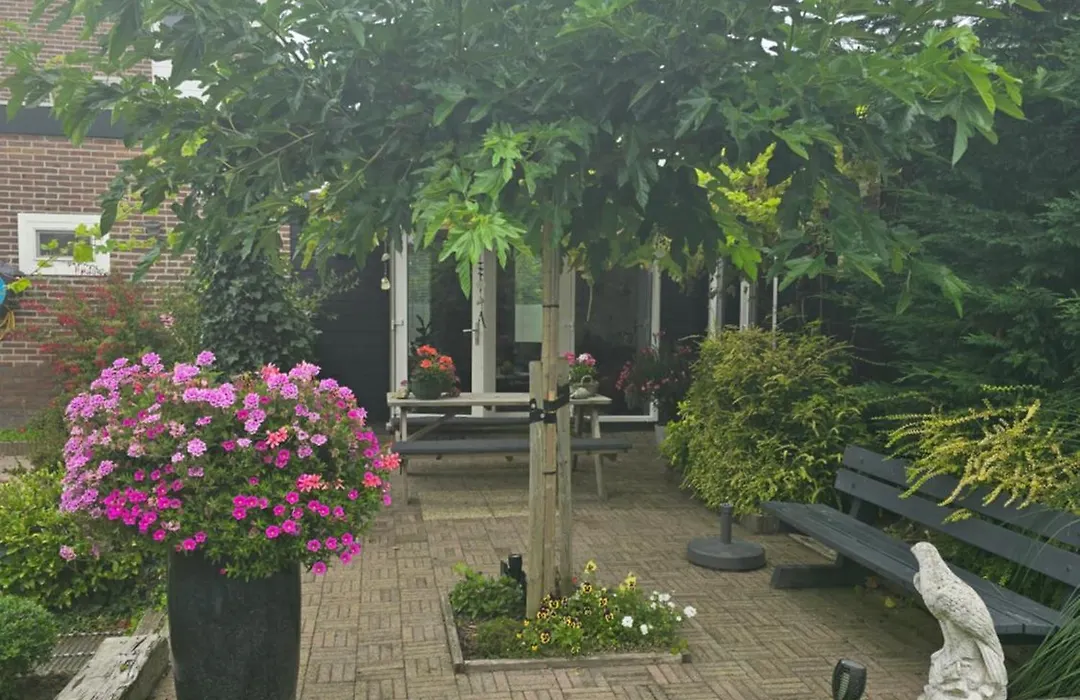 B&B Welkom With Or No Breakfast-1