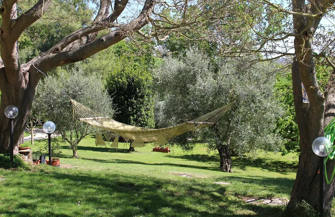 Campo Del Mare-1