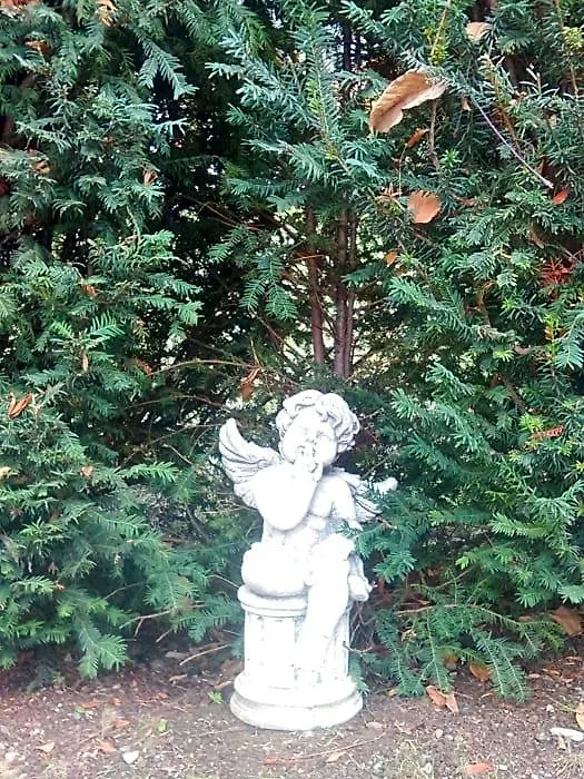 La Carline-1