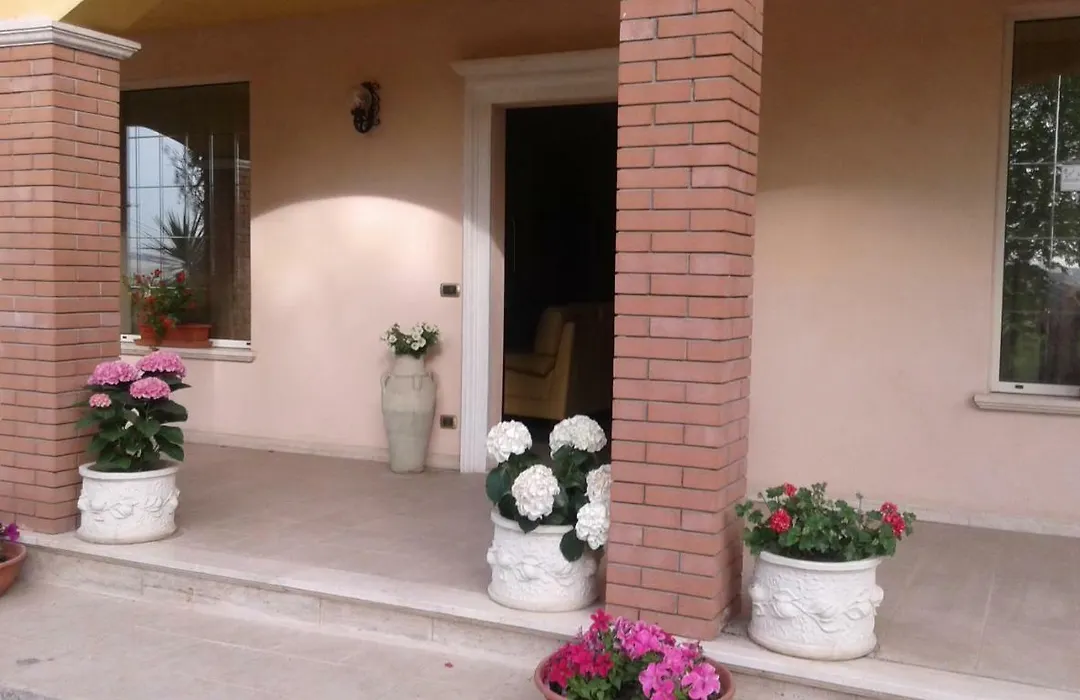 Le Palme-1