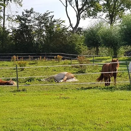 Hoeve Ruimzicht Renesse-3