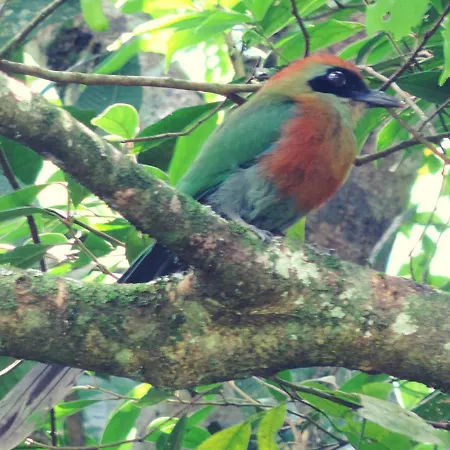 Pousada Bocaina-3