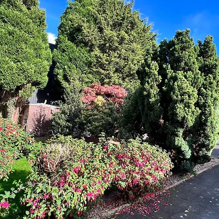 Ashfield Bed & Breakfast-2