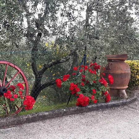 B&B I Coppi-2