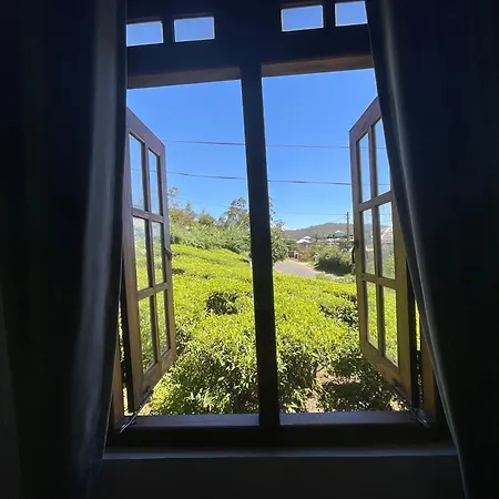 Green Villa-2