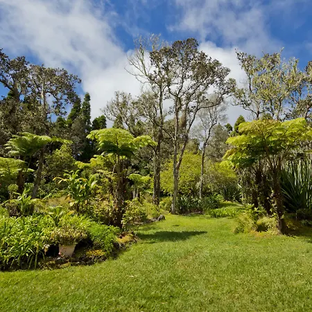 Hale 'Ohu Bed & Breakfast-3