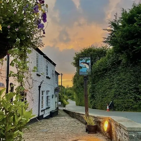 The Sea Trout Inn-3