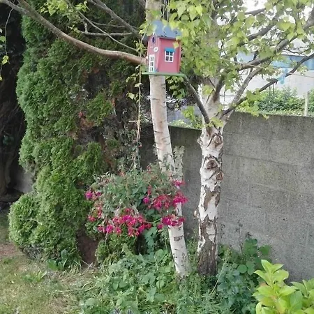 The Vee B&B-2