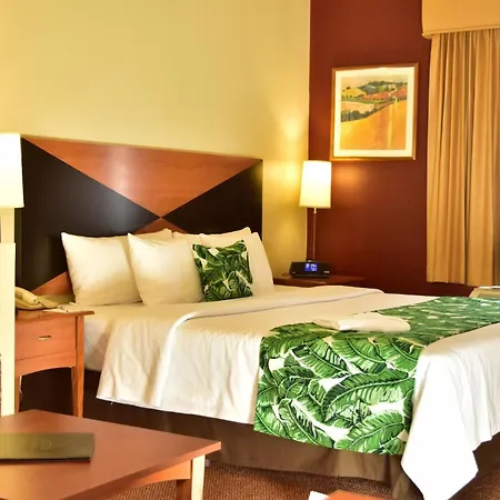 Sleep Inn Paseo Las Damas-2