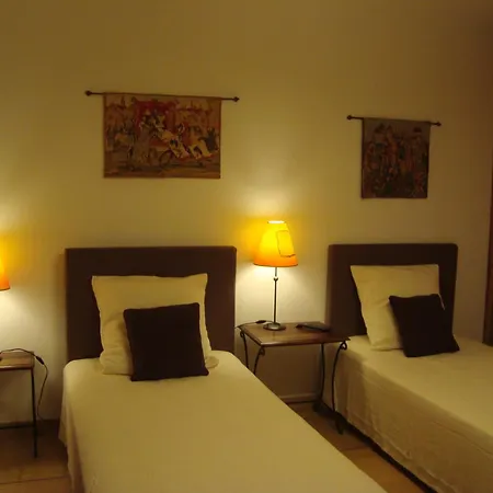 Chambres d'hôtes Les Palmiers de la Cité-3