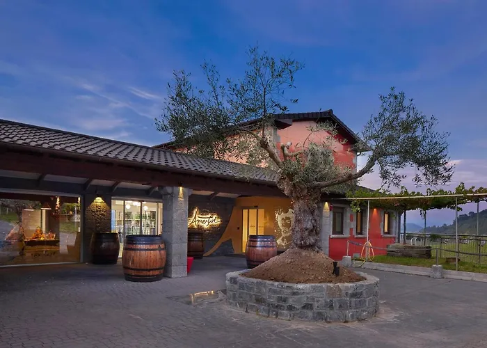 Alquiler de vacaciones: Ameztoi Experience