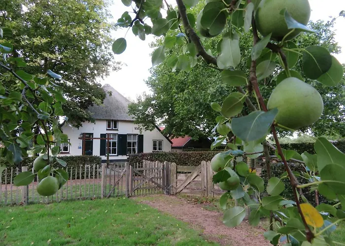 B&B De Willemshoeve