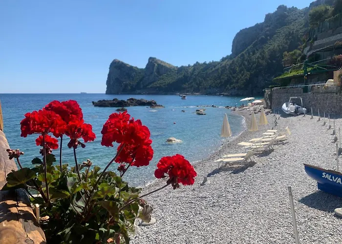  L'Oblò