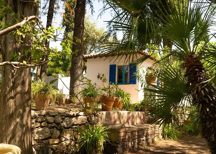 La villa: Villaggio Placido