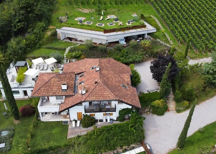  La Vinea