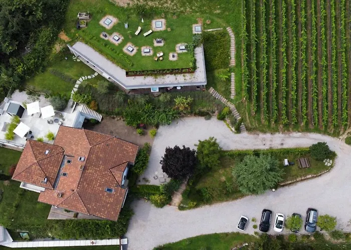  La Vinea