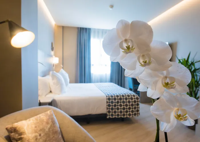 Hotel adatto agli animali: Hotel América Sevilla