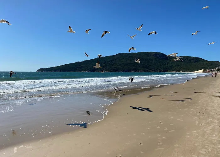 Hotel boutique: Hotel & Pousada Favareto - Praia Dos Ingleses