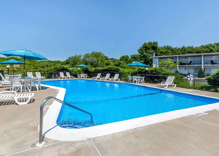 Pet Friendly hotel: Rodeway Inn Mystic