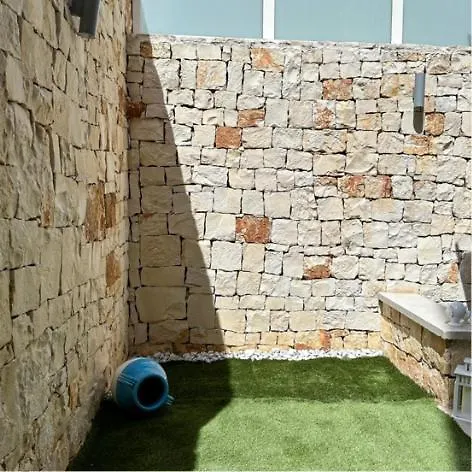 Albergo centrale: Suite Cala Paura