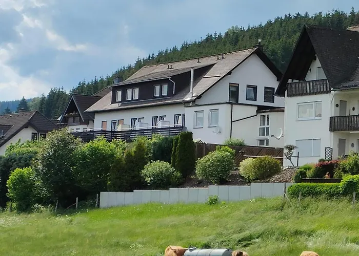 Huisdiervriendelijk hotel: Pension Sauerland