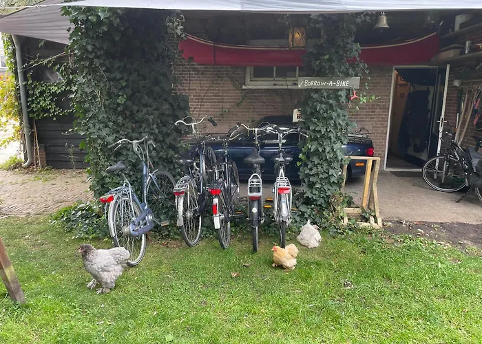 Hotel dichtbij College: Tiny House