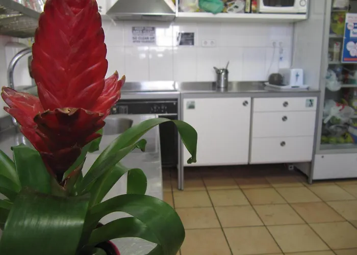 Hotel sulla spiaggia: Mellow Barcelona