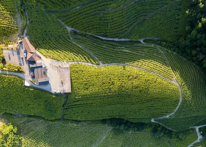 Alquiler de vacaciones: Ameztoi Experience