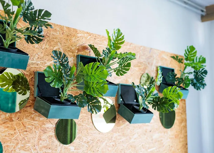 Hotel Auberge Nassau