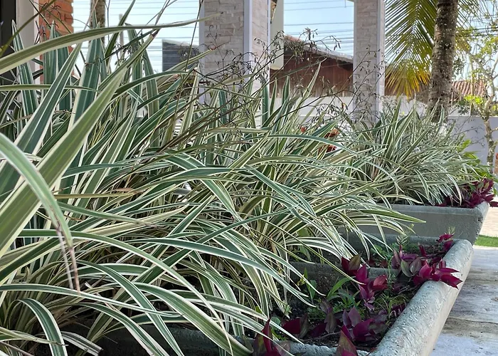 Hotel para famílias: Surfside Suites