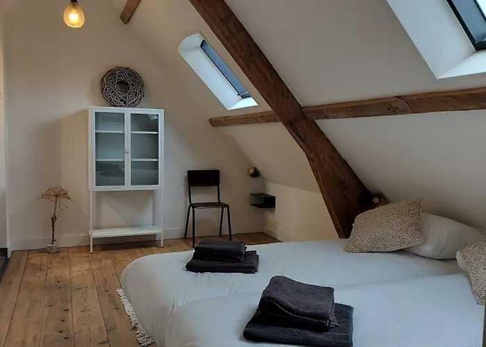 'Hof Baaiweg' Met Barrelsauna