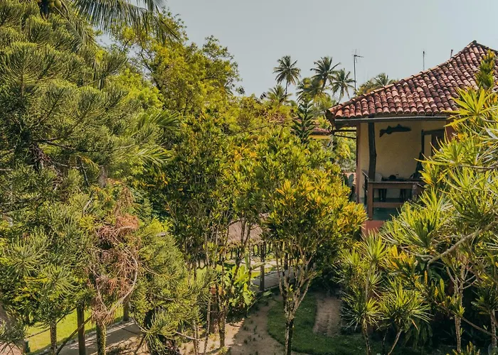 Resort: Hotel Porto do Zimbo
