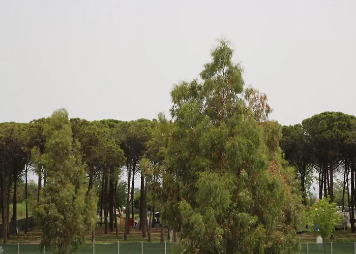 Hotel sulla spiaggia: Levante