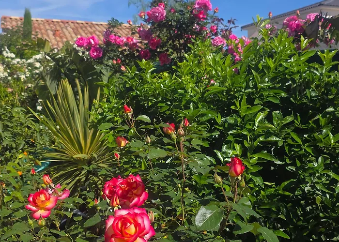 Hôtel accueillant les animaux: Chambre d'hôtes dans Villa Diane