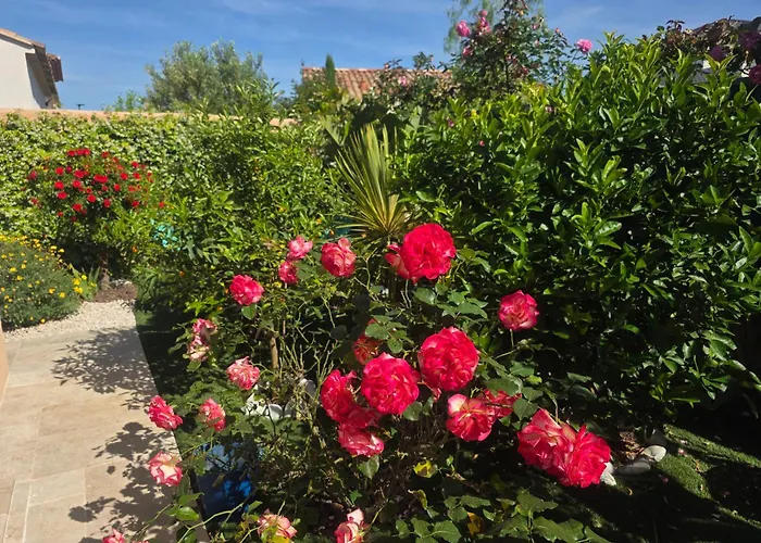 Hôtel accueillant les animaux: Chambre d'hôtes dans Villa Diane