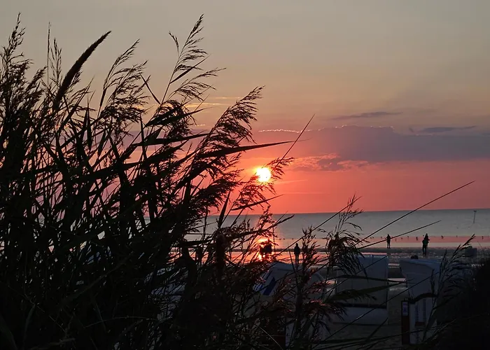 3-Sterne-Hotel: Pension Haus Erika