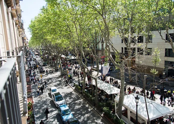 Albergo economico: Flor Parks