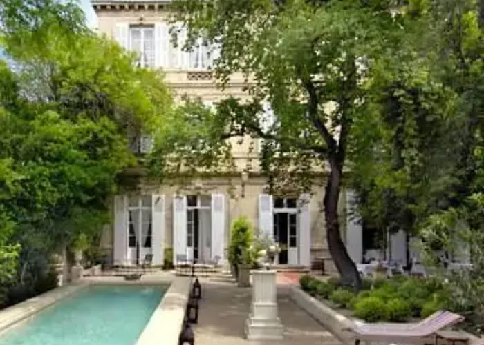 Hôtel accueillant les animaux: L'Hôtel Particulier