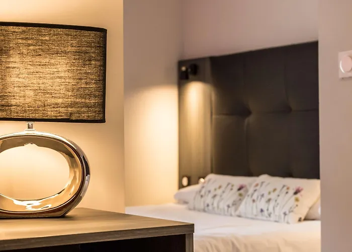 Hôtel accueillant les animaux: Brit Hotel Confort Foix