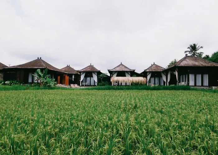 Bungalow rentals Kayangan Ubud