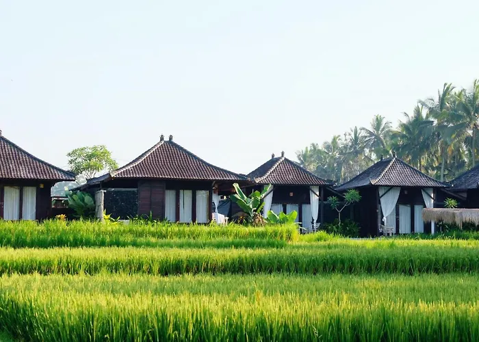 Bungalow rentals Kayangan Ubud