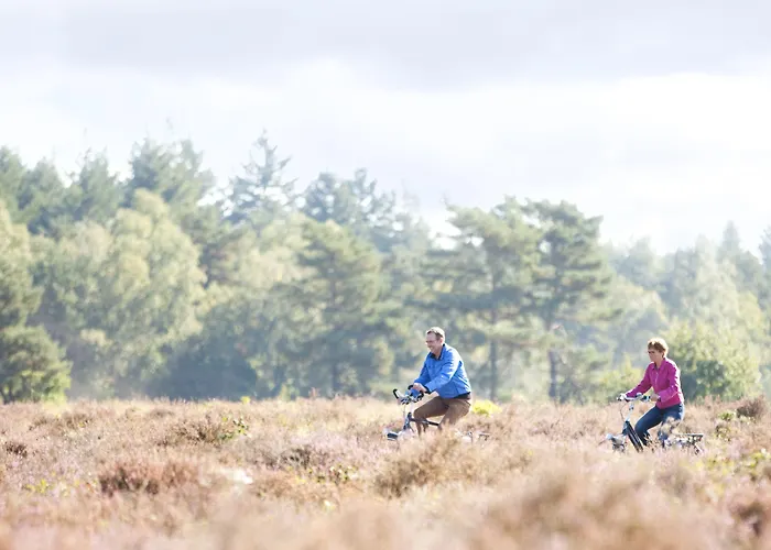 4 sterren hotel: Hof van Putten