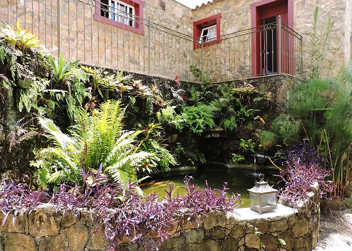 Pousada Araujo Bazilio